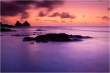 Purple Sunset (Gold-N-Blue) - Dois Irmos