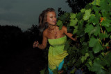 THROUGH THE GRAPES 006.jpg