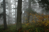 DSC_0006.jpg
