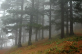 DSC_0008.jpg
