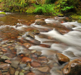 Breitenbush River 2