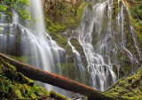 Proxy Falls 2