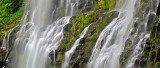 Proxy Falls - Cascade Closeup 2