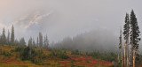 WA - Mt Rainier NP - Foggy Mountainscape 1