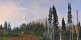 WA - Mt Rainier NP - Foggy Mountainscape 2