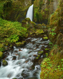 Wahclella Falls - OR