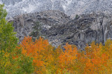 CA - McGee Creek Canyon Fall Color 2