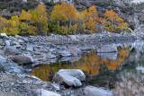 Sabrina Lake Shoreline 2