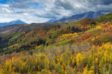 UT - Guardsman Pass Maples & Aspens_23x34