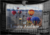 Memorial Flight for Laurie