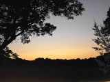 The treeline and the sunset.jpg