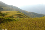 Longji