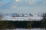 Farm at the Bommelerwaard