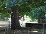 Church cemetery
