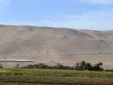 Geoglyphs