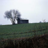 Shed October 2005