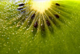 Nov 12 - Kiwi fruit