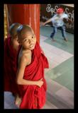 Novice Monks, Yangon