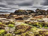 Rocks at Looe