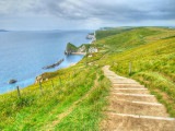 Costal Walk towards Man OWar Bay