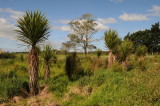 View from John Welsfords house