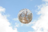 Fern sculpture suspended over Wellington Town Square