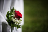 John and Monica - Wedding
