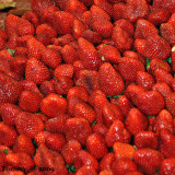Strawberry.jpg