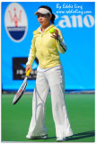 Zheng Jie