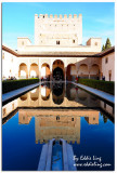 Alhambra Palace, Granada