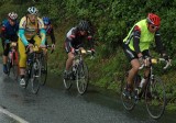 Dsc_0075.jpg.1.jpgred.jpg
