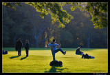 Central Park Tai Chi