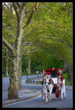 Central Park Ride