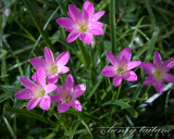 IMG_9766-2.jpg