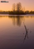 Tranquility