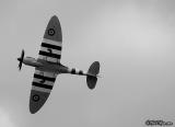 Spitfire