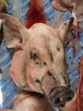 Pigs head for sale, Sainyabuli market