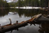 Pond on Tioga Pass Road