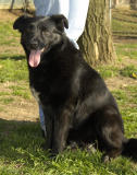 Cindy_3 ADOPTED!!