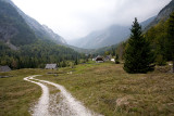 IMG_5453.jpg