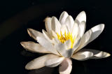CRW_6133.jpg
