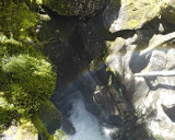 Chasm-011009-Fiordland Natl Park, S Island, New Zealand-#0048.jpg