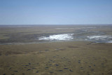 Coastal Plain, from plane-062909-ANWR, AK-#0033.jpg
