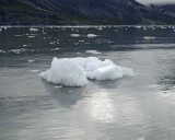 Iceberg-070710-Tarr Inlet, Glacier Bay NP, AK-#0504.jpg