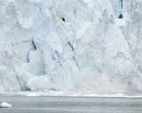 Margerie Glacier, calving-070710-Tarr Inlet, Glacier Bay NP, AK-#0785.jpg