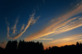 Jonava