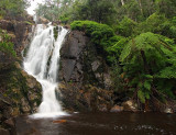 Steavenson Falls