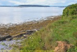 Shoreline