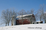 Barn On The Hill