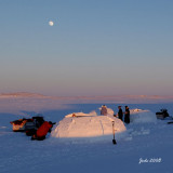 Survival with NASTC, Puvirnituq, february 2008